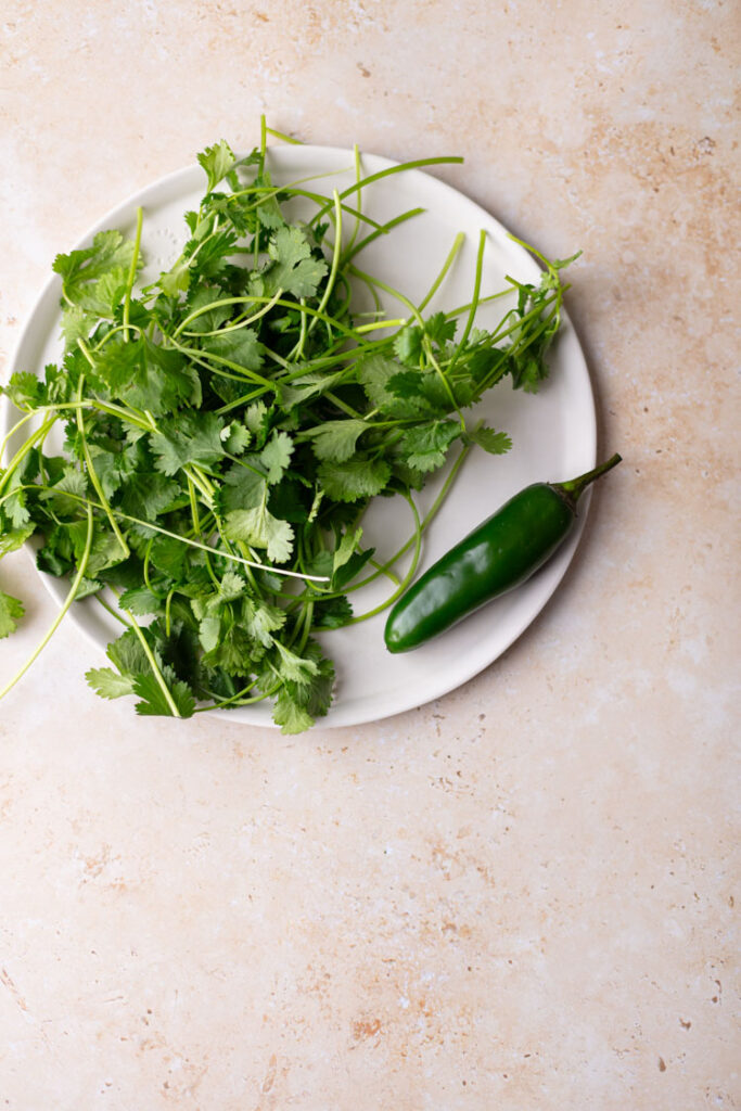 white plate with fresh cilantro and jalapeno