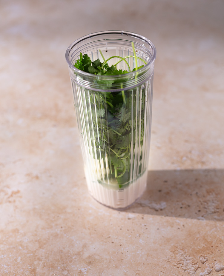 small blender container filled with fresh cilantro