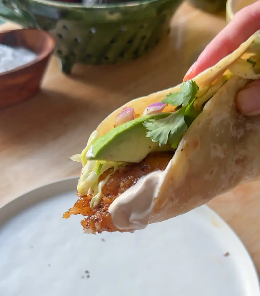 fish taco with avocado slice, sauce, and cilantro